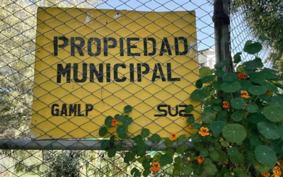 Lo que no puede brotar de la tierra: Trabas administrativas ponen en riesgo los huertos de La Paz