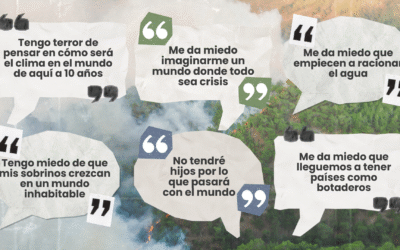 La ecoansiedad: colectivamente silenciosa