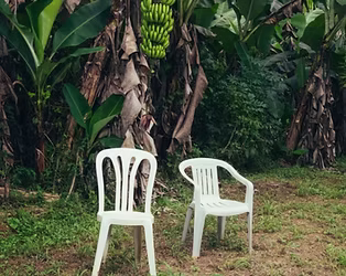 Ausencias, fotos y recuerdos: Crítica sobre DeBÍ TiRAR MáS FOToS de Bad Bunny