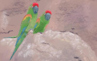 Me animé porque nadie quería ser guardaparque (I)