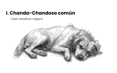 1. Chanda-Chandoso común