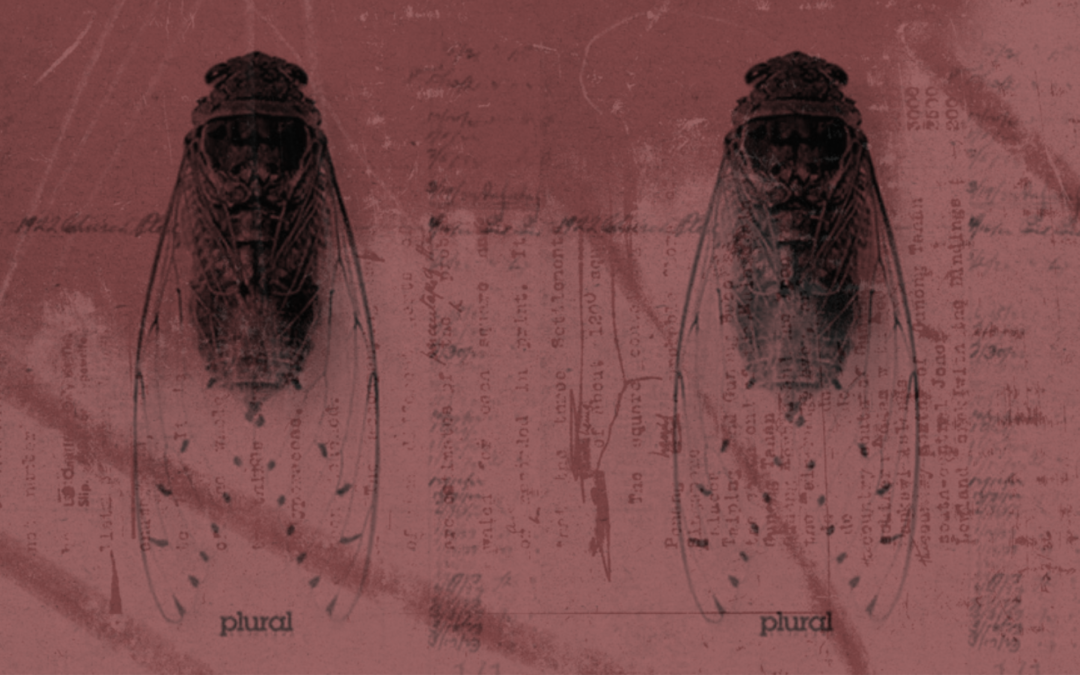 Poética de la Desconfianza: Animalidad y lenguaje en Animal print