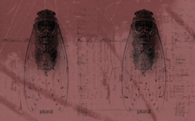 Poética de la Desconfianza: Animalidad y lenguaje en Animal print