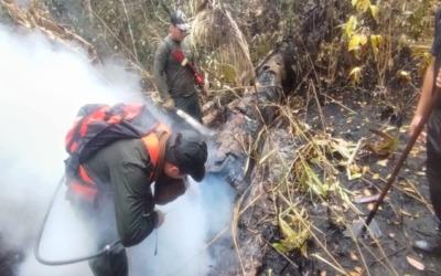 Guardianas en la encrucijada: mujeres indígenas bolivianas contra la catástrofe ambiental