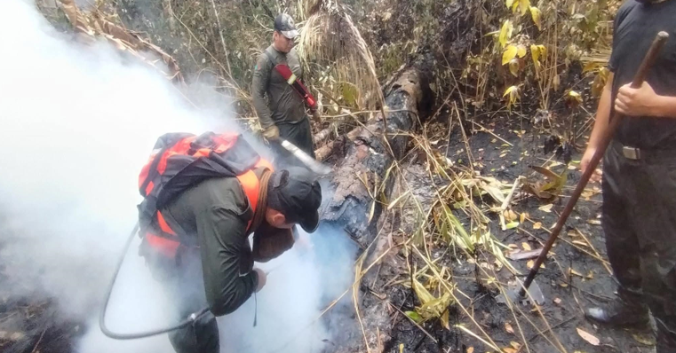 Guardianas en la encrucijada: mujeres indígenas bolivianas contra la catástrofe ambiental