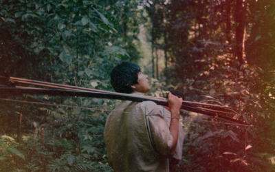 Chatdÿe Tsimane: Vistas de una especie que cautiva