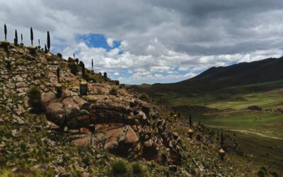 El plan para salvar a la reina de los andes: ciencia y comunidad en las alturas