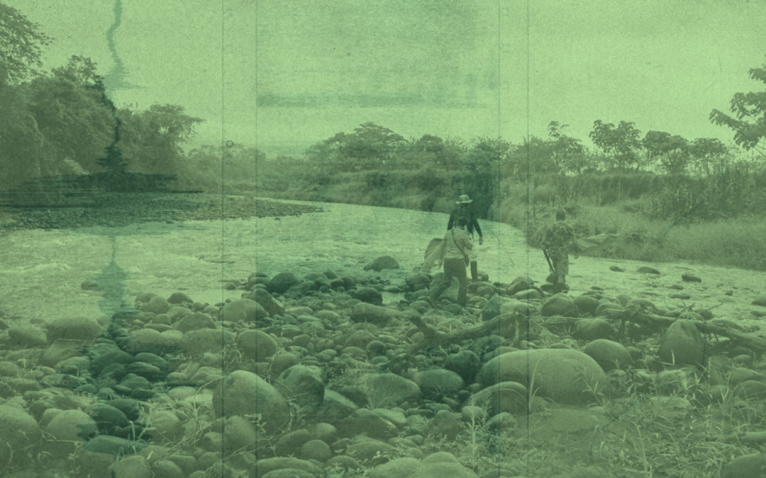 Entre piedras, memorias y corrientes: pedagogía del río y luchas por la vida en Maquengal