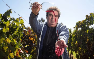 En busca de la fruta perfecta