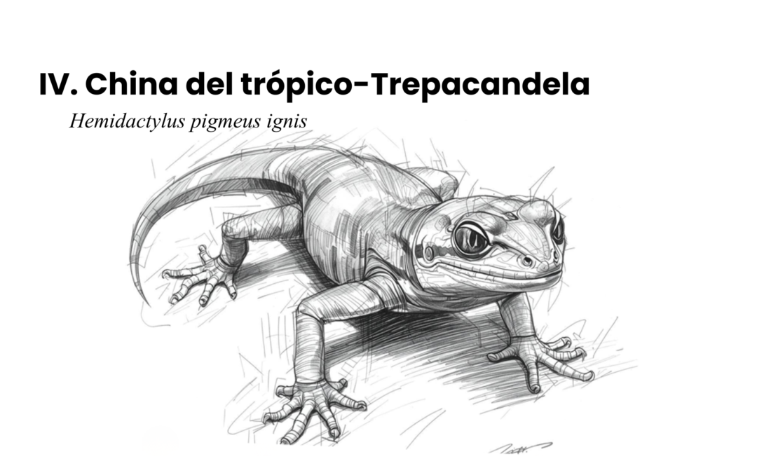 Bestiario suburbano latinoamericano contemporáneo IV