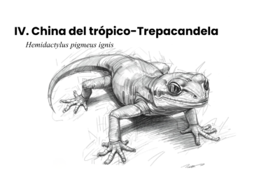 Bestiario suburbano latinoamericano contemporáneo IV