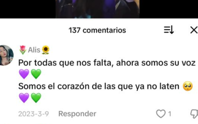 Feminismo digital y violencia de género en Instagram y TikTok