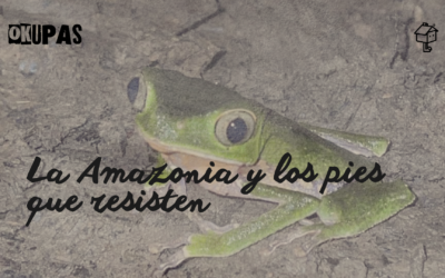 La Amazonia y los pies que resisten
