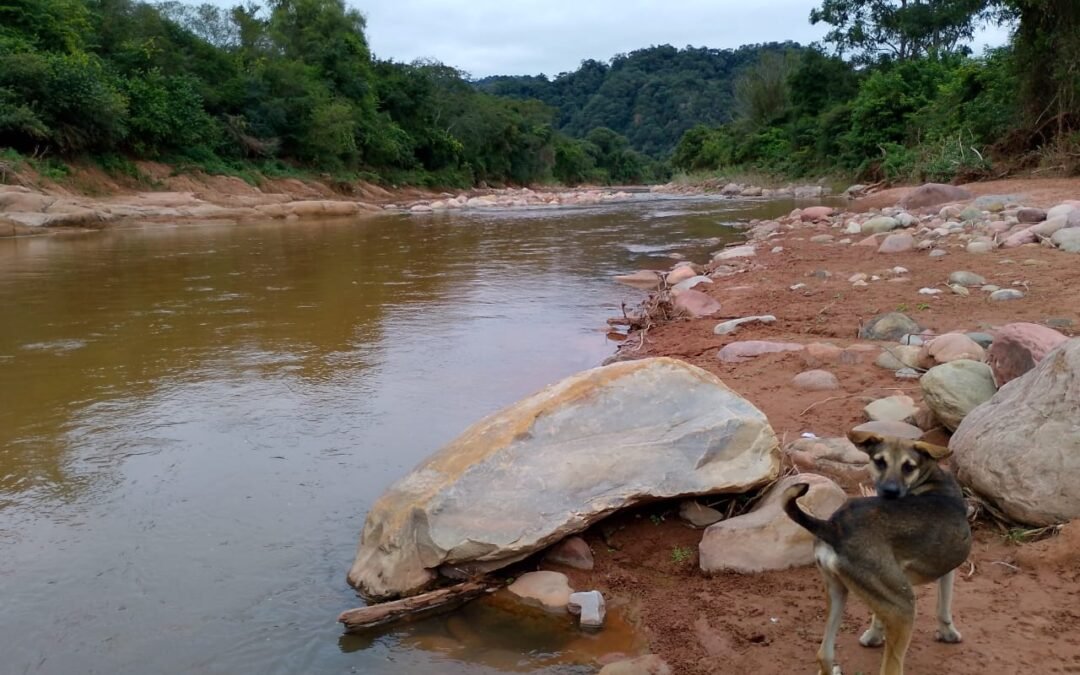 No vamos a estar tranquilos mientras nuestro río esté en riesgo