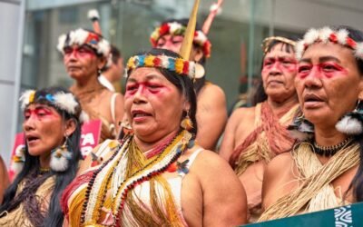 Un año después de la sentencia por los Tagaeri y Taromenane, Ecuador incumple diez de las 18 medidas’